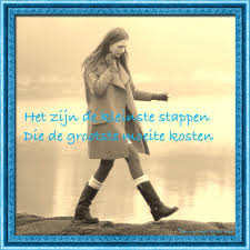 kleinestapgrootstemoeite