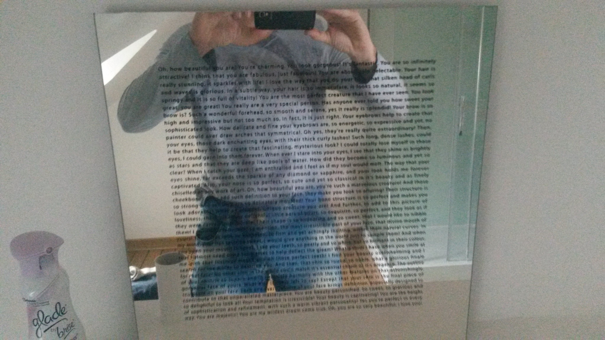 positievespiegel